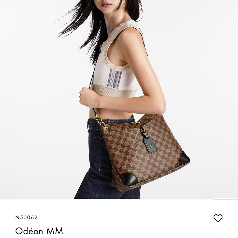 Louis Vuitton Brown and Black Shoulder Bag